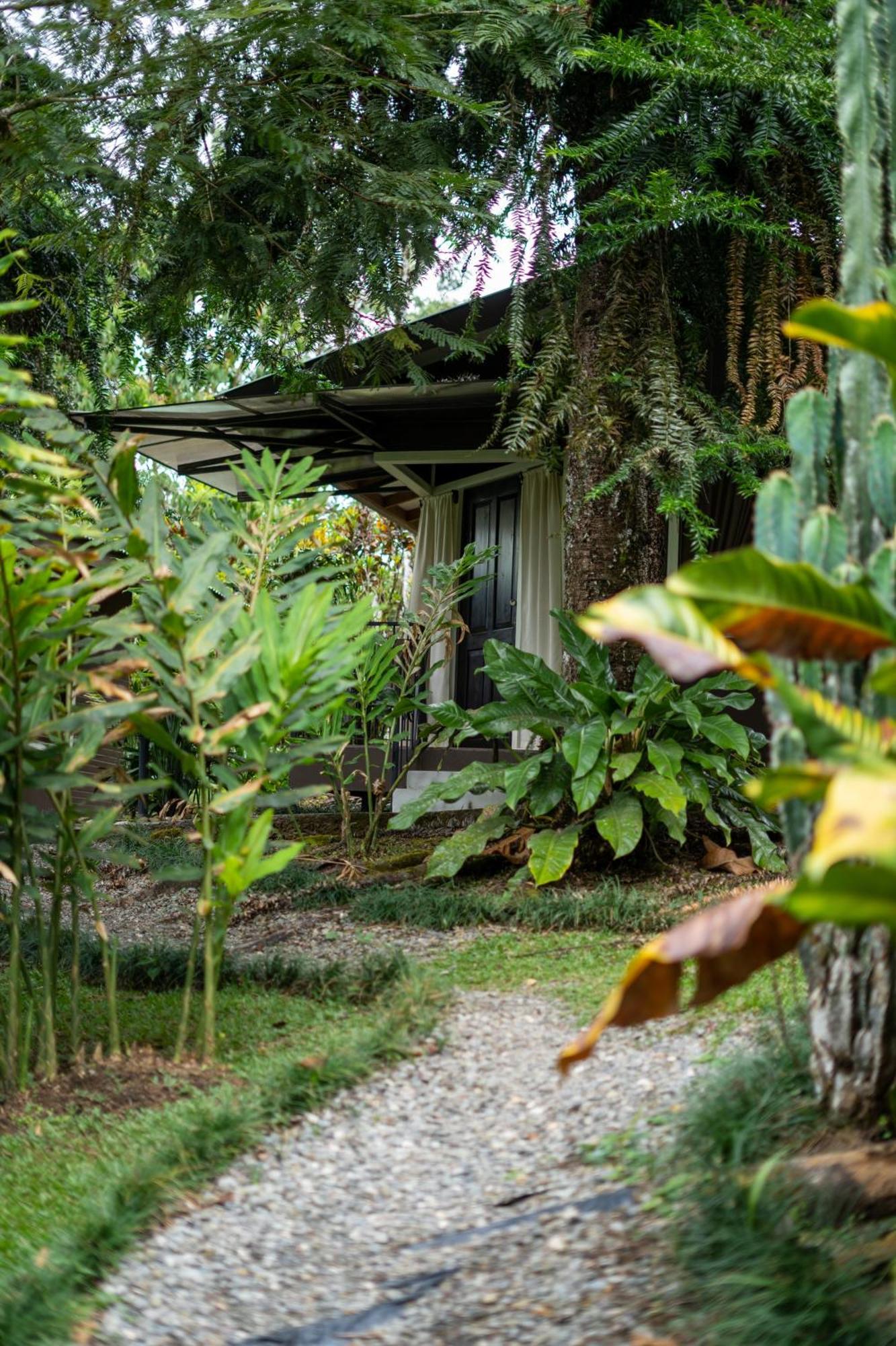 Cabanas Green House San Vito 外观 照片